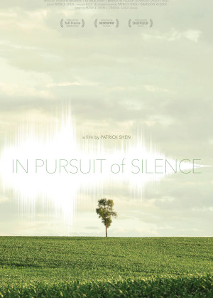 IN PURSUIT OF SILENCE